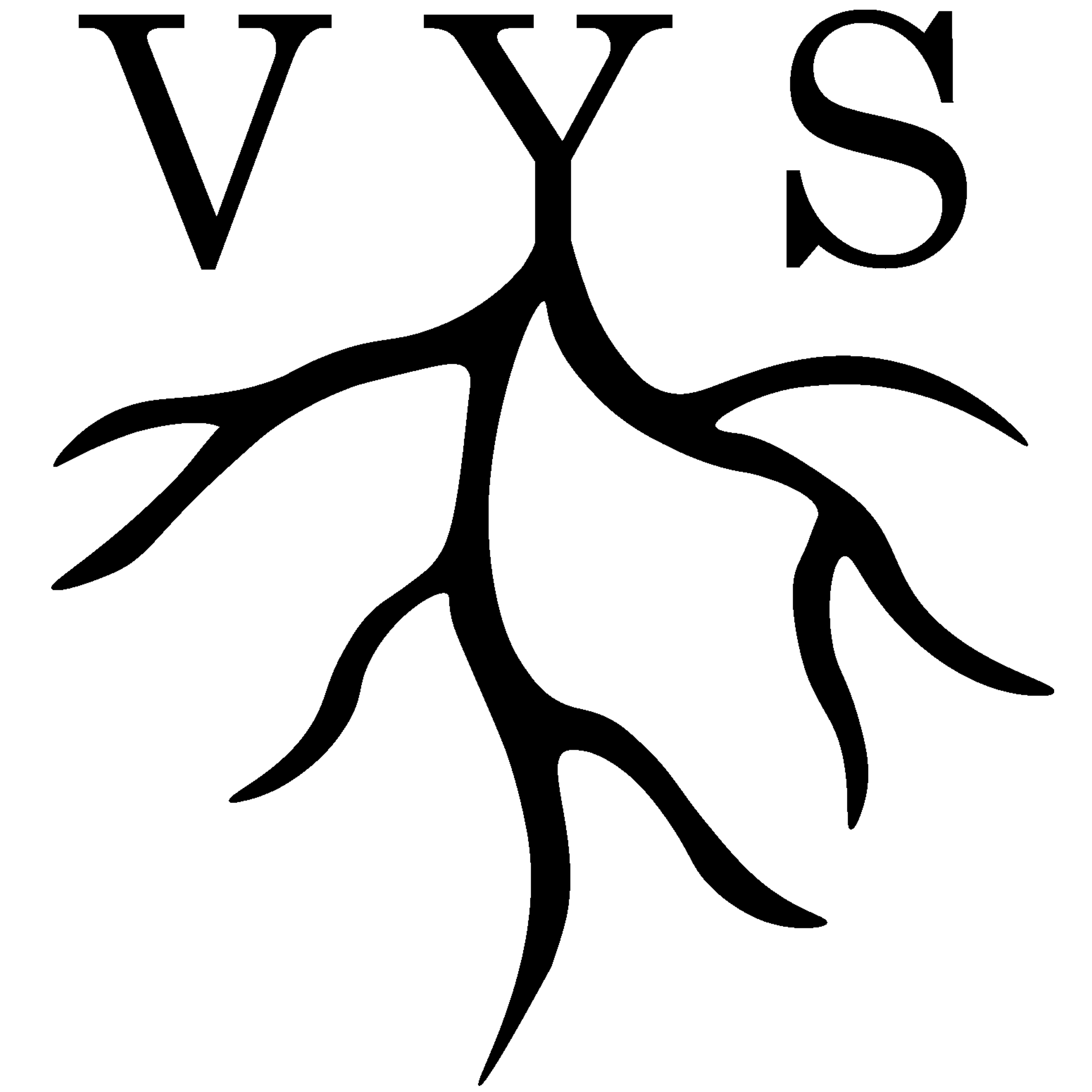 VyS Estudio